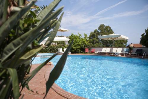 Hotel Gallo Nero