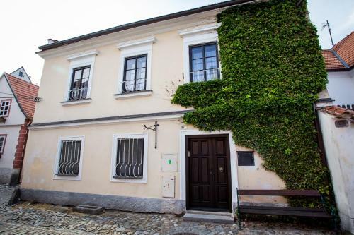 Hostel Pension Premium