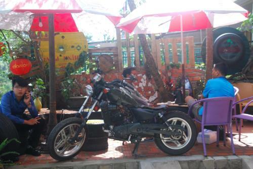 Windy Dalat
