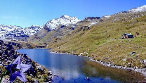 Chalet Praranger