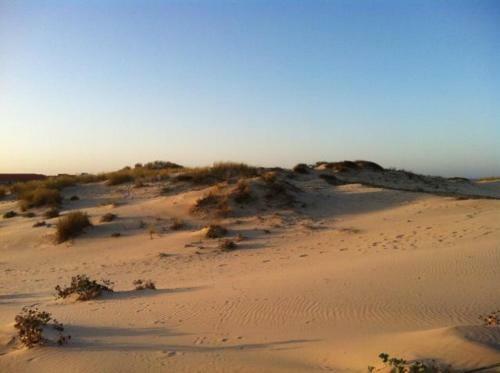 Maison Soleil - R�sidence Dune Blanche