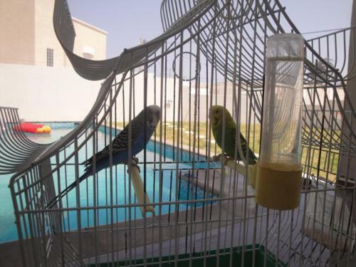 Villa Holiday