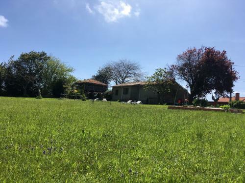 Casa Tala