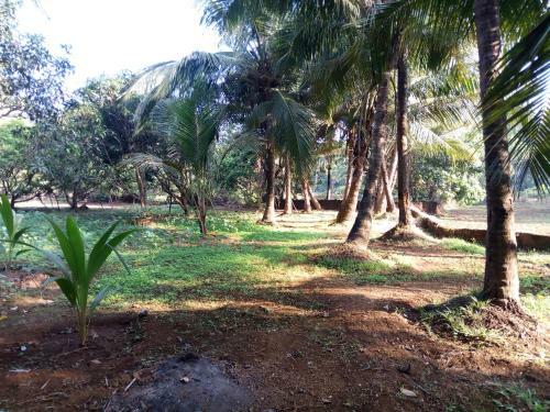 Mandrem Restzone 4bhk