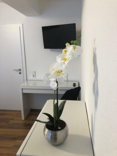 Hostel City Rooms