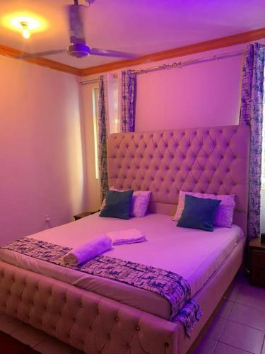 Rosy Luxurious Apartment