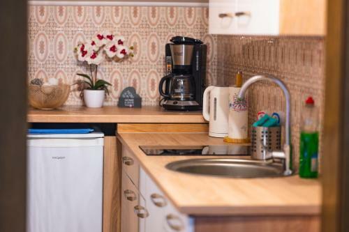 Apartment Appartement Mila