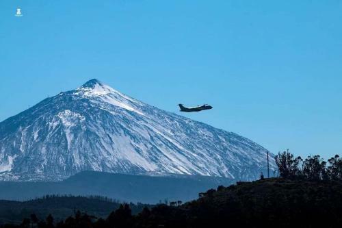 Apartment Edificio Don Antonio