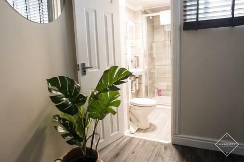 Apartment Bold Street Liverpods