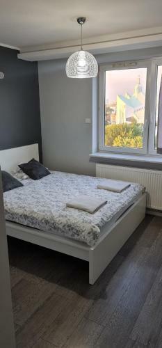 Pokoje ?eromskiego 1b