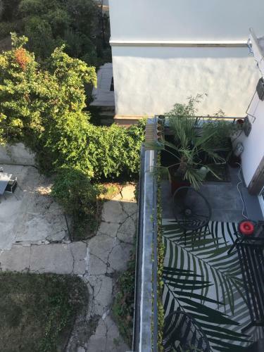 Apartment Le Tomi