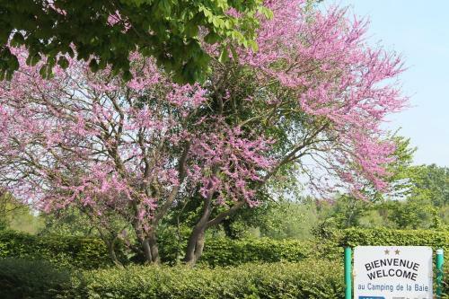 Camping De La Baie
