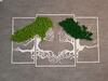Apartamenty Paszk�wka