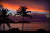 Hotel Flamingo Cabinas