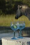 Lodge Zebras Crossing