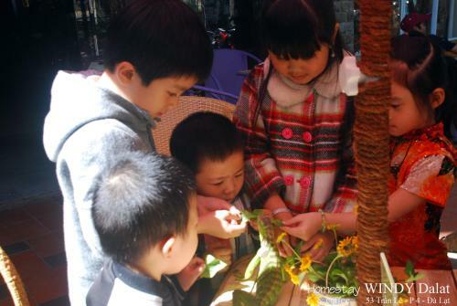 Windy Dalat