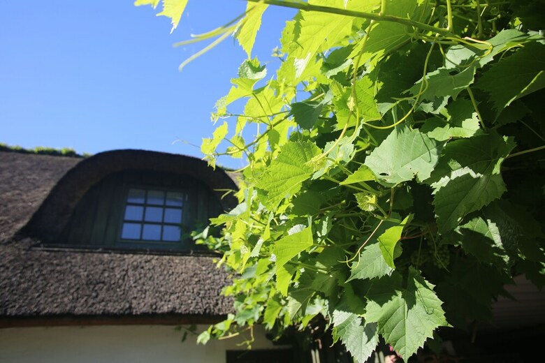 Auberge N�rby Kro