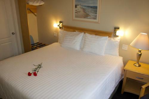 Auberge Rum Runner Inn