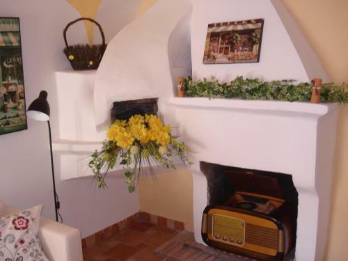 B&B 1646