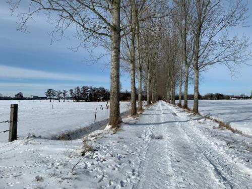 B&B Op3 Aarle-rixtel