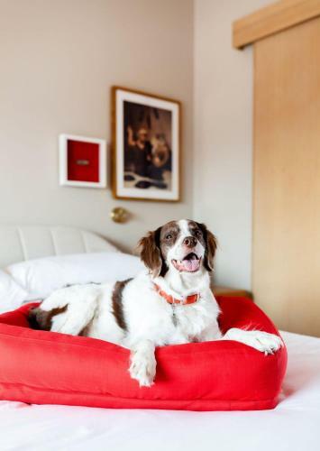 Virgin Hotels New Orleans