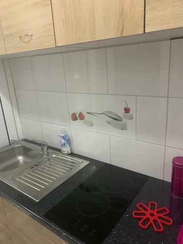 Hotel Vesna Apartments