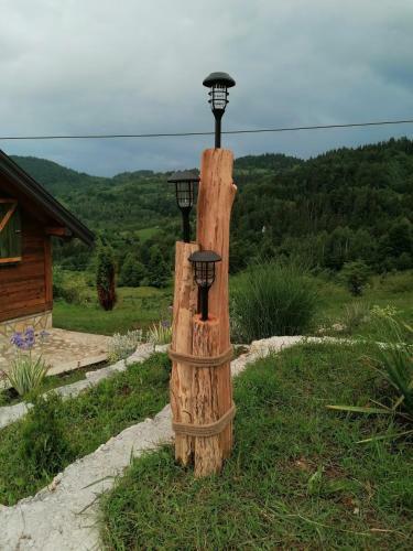 Uzivancija Na Tari