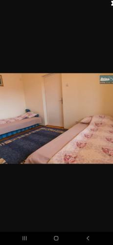 Ozzy Apartman