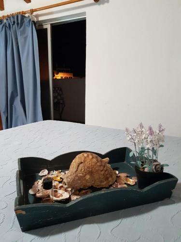 Hotel Casa Da Ol�via