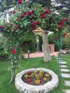 Casa Cautha