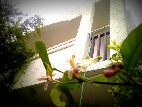 Thalassa Studios Apartment