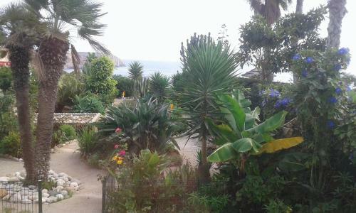 Alojamento Local Mareta Hostel