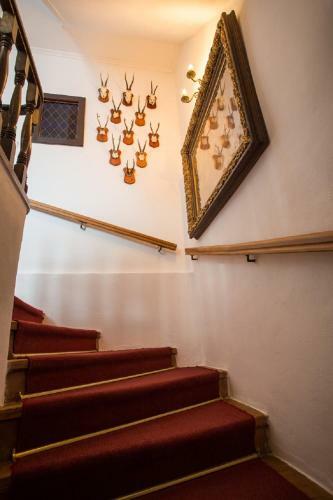Pension Premium Hostel