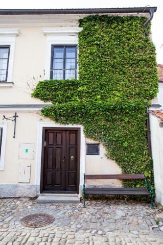 Pension Premium Hostel