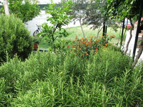 Guesthouse Trogir Proto Hostel