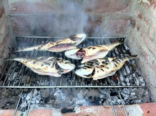 Guesthouse Trogir Proto Hostel