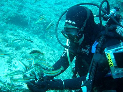 Guesthouse Trogir Proto Hostel