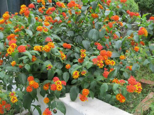 Guesthouse Trogir Proto Hostel