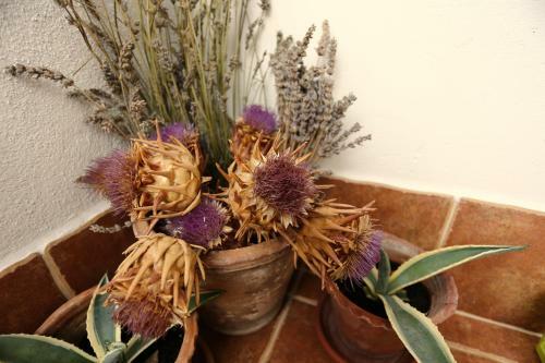 Guesthouse Trogir Proto Hostel