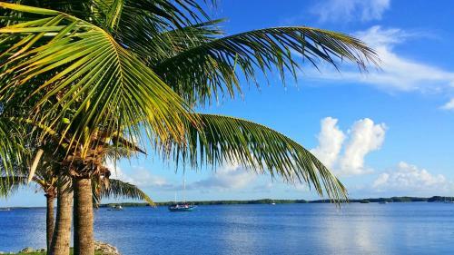 Dolphin Point Villas Hotel