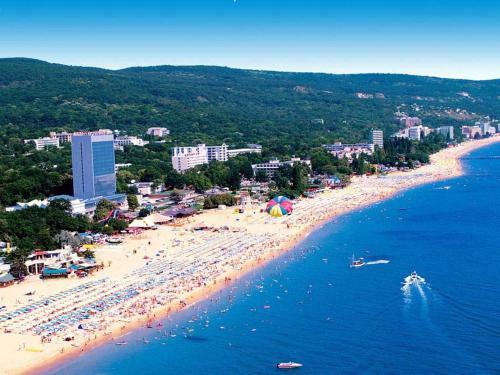 Aurora Guest House Hostel