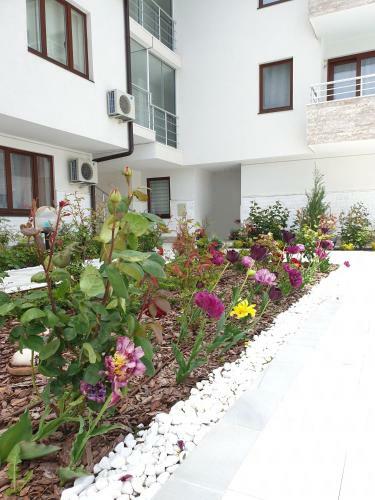 Emerald Hills Apartment