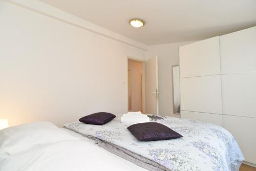 House Rudi 1504