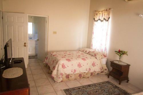 Sea View Chateau Villa