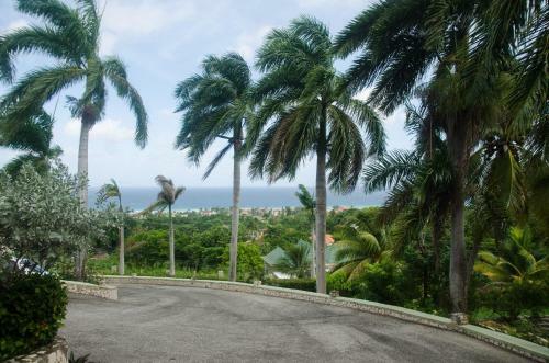 Ocean Crest Villa Hostel