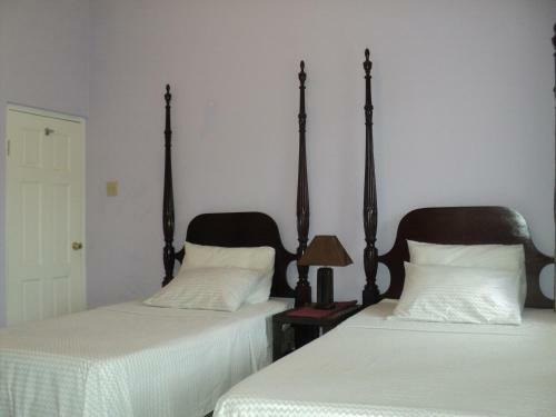 Serene Flat Hostel