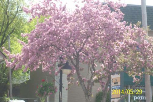 Wataview Bed & Breakfast