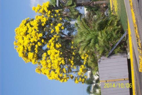 Wataview Bed & Breakfast