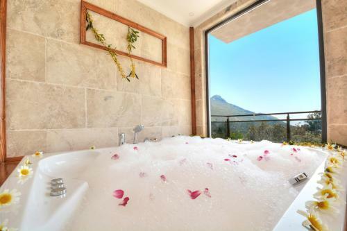 Villa Kelebek