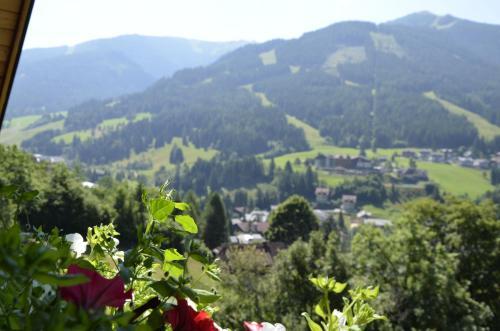 Panoramapension Lerchner Hostel